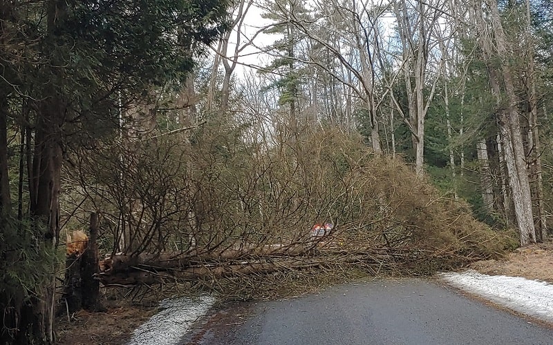 High winds cause trouble in Sigel