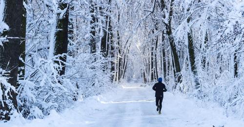 Cook Forest–Saturday, January 1 at 1:00 p.m. 'First Day Hike: Fire Tower Road Loop': – Connect FM | Local News Radio - Vimarsana News