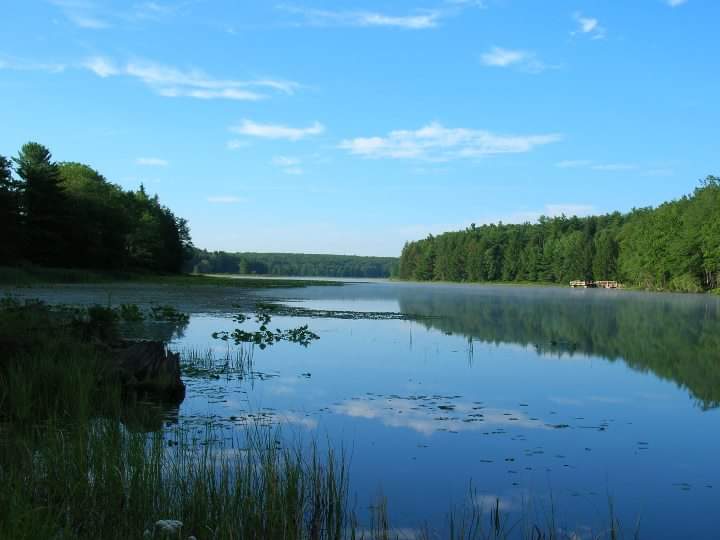 First Day Hikes- Black Moshannon State Park – Connect FM | Local News Radio - Vimarsana News