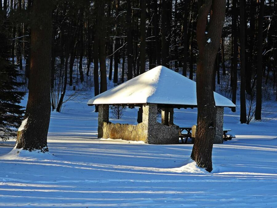 Fun in the Snow at Black Mo– January 28th – Connect FM | Local News Radio - Vimarsana News