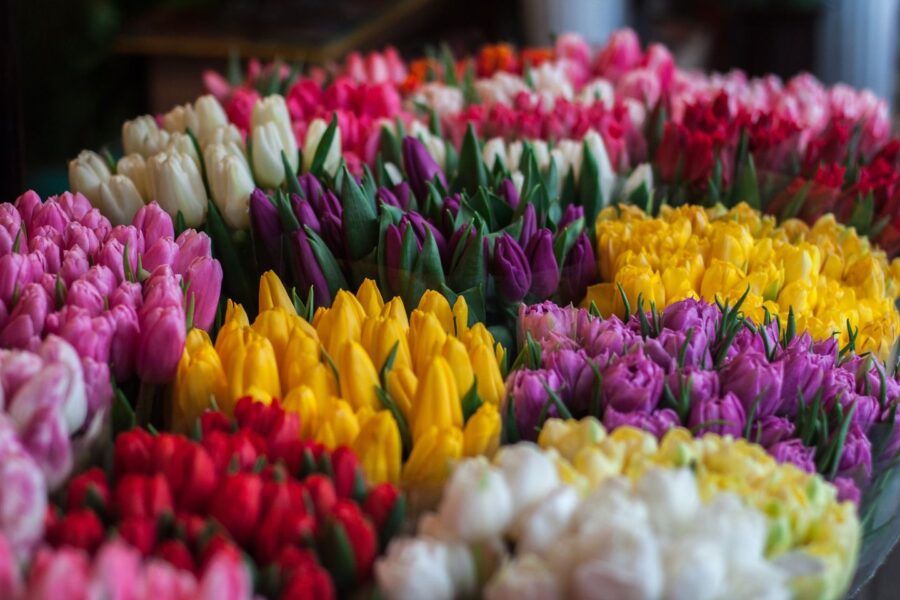 2nd Annual Queen of Tarts Spring Fling & Maker's Market-Saturday, April 1 – Connect FM | Local News Radio - Vimarsana News