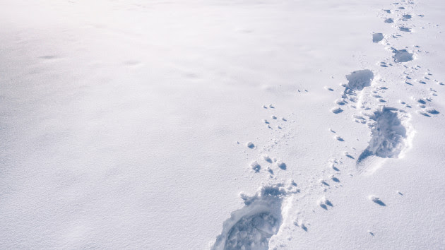 Snowpack in the West is melting rapidly. Where will all that extra water go? – Connect FM | Local News Radio - Vimarsana News