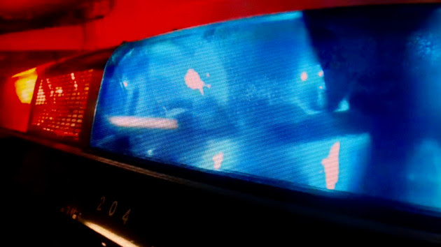 Man pulled over for DUI blames dog for driving, police say – Connect FM | Local News Radio - Vimarsana News