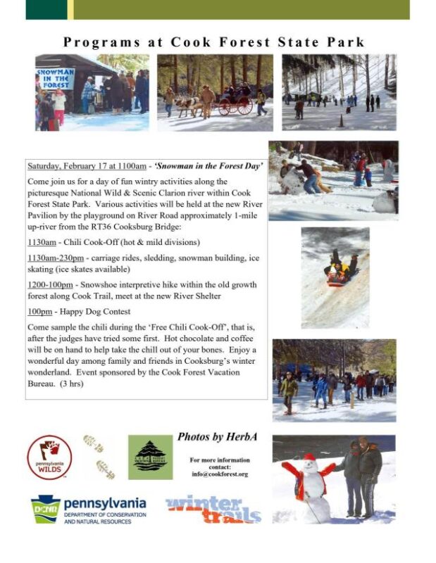Snowman in the Forest – Connect FM | Local News Radio - Vimarsana News