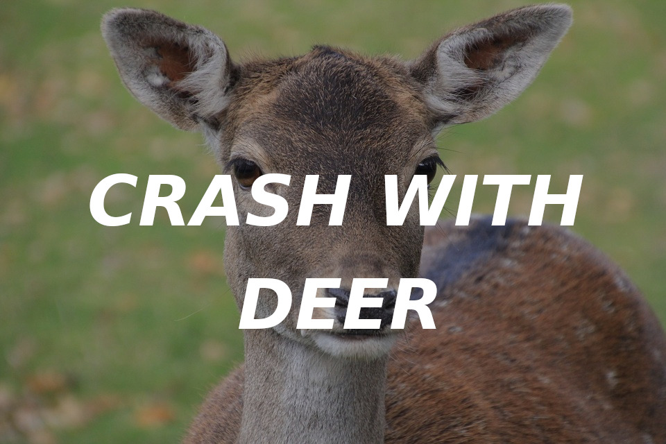 Jefferson County teen hurt in crash with deer