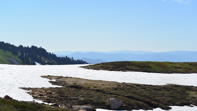 Body of skier missing since May recovered from Washington park – Connect FM | Local News Radio - Vimarsana News