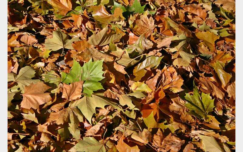 DuBois Fall Fest Kicks off Friday