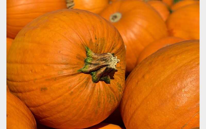 Pumpkin Festival in Reynoldsville Today 