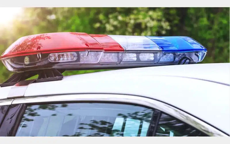 Viral Video Leads to Dog Grooming Business Investigation