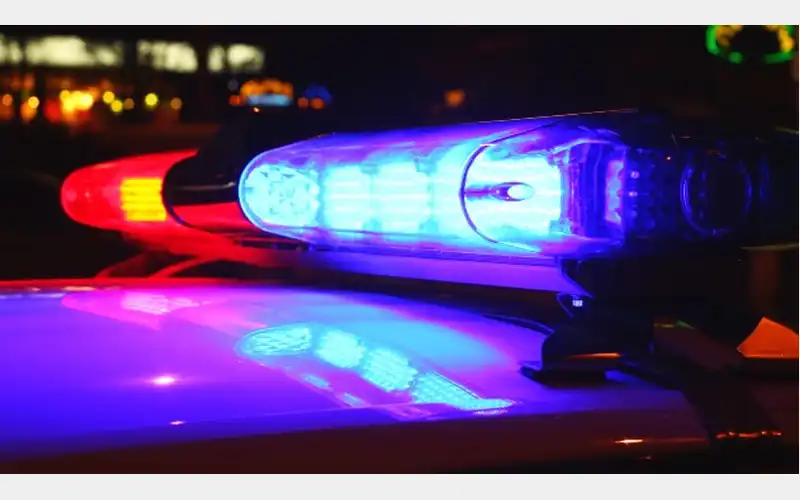 Man Allegedly Bit During Domestic Dispute