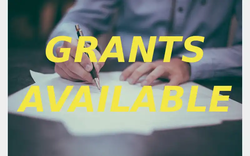 Small Business Advantage Grants Available