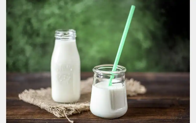 School Milk Helping Area Farmers