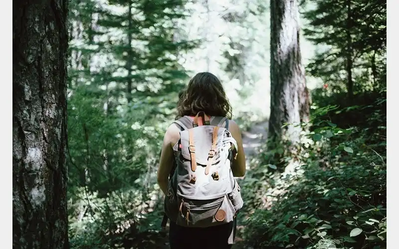 “First Day Hikes” Planned at Parker Dam and Cook Forest