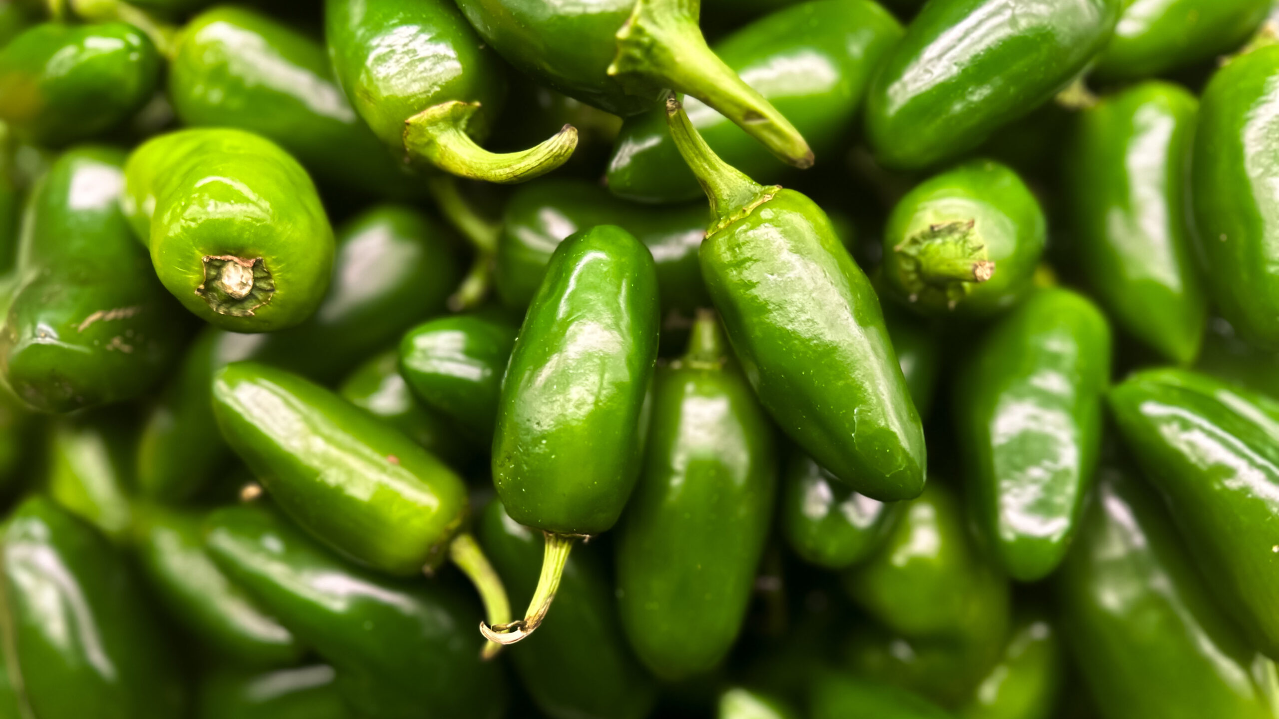 Taylor Farms pulls jalapeno products sold at grocery stores