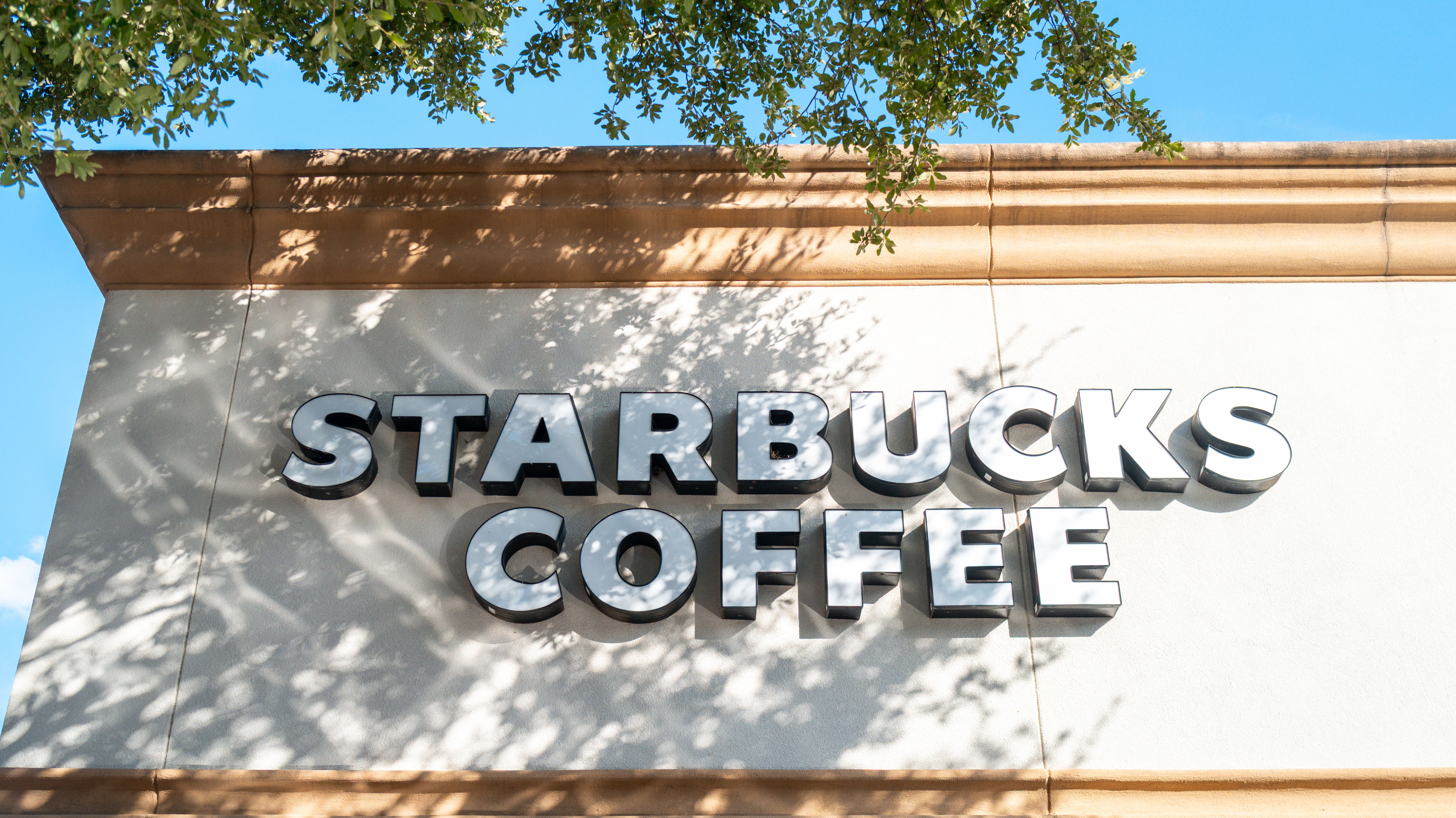 Starbucks sued over alleged 'substantial amounts of sugar' in 'sugar-free' drinks, company denies claims